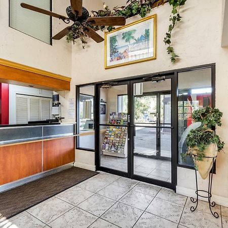 Econo Lodge Palm Harbor - Clearwater Kültér fotó